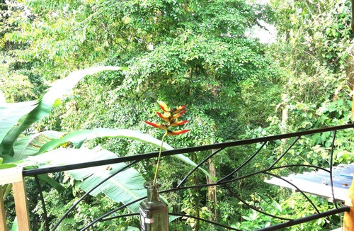 Chiguata House | Jungle Vacation Home/Wildlife Observatory