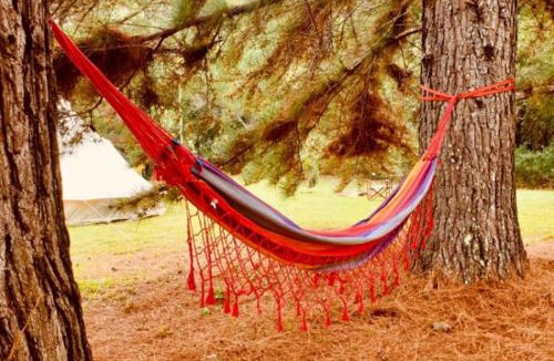 Obi Obi Other | Kanimbia Luxury Glamping