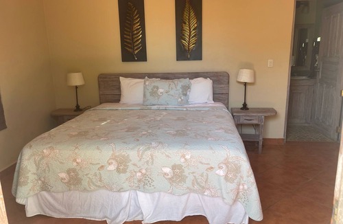 Popoyo Bed & Breakfast | king Standart pool view