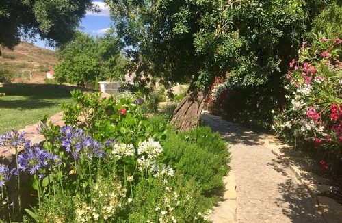 Tavira Apartment | La Senhora Das Oliveiras (The Garden Studio)