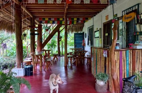 Balgue Hostel | La Urraca Loca Hostel