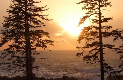 Ucluelet Apartment | Large Luxurious Oceanview Villa - Pacific Rim Retreat
