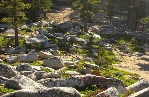 Tahoe Paradise Cabin | Lazy Bear Cabin- 3 ski areas nearby, Families, Pets-Fenced Yard, Foosball Fun