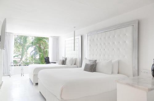 Cocles Hotel | Le Cameleon Hotel
