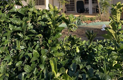 Camparca House | Le Domaine de Lorangeraie