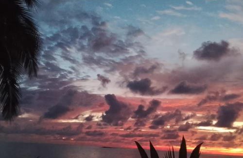 Drake Bay Hostel | Life for Life Hostel Lodge Drake Bay Home of Sea Turtle Marine Conservation Project Osa Peninsula near San Josecito Beach