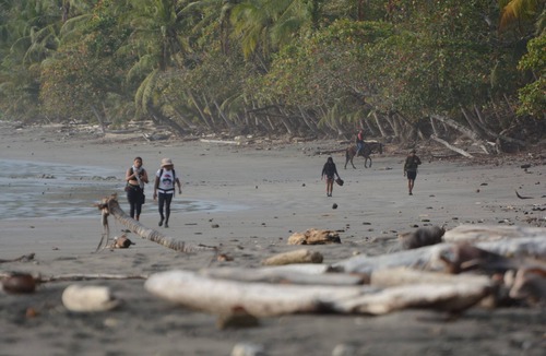 South Pacific Coast Cabin | Lodging Punta Burica Rural, Nature, Mysticism and Tranquility