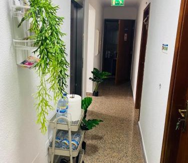 Odivelas House | London Guest House