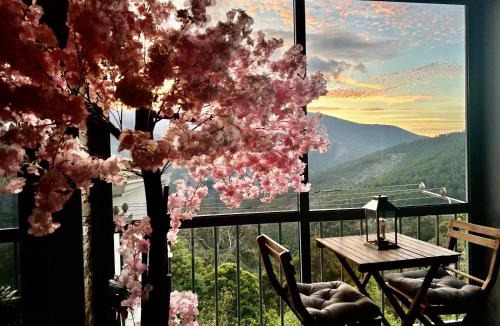 Chas de Egua House | Love, made in xisto