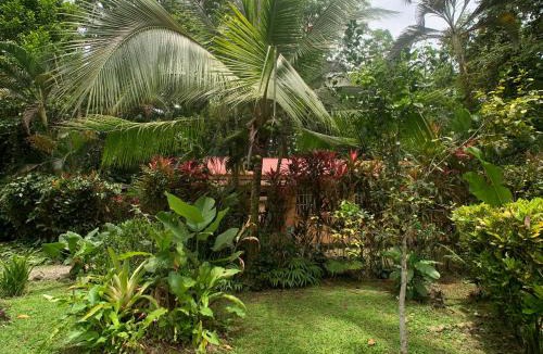 Chiguata Hotel | Luna Caribeña Village