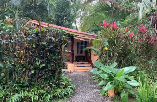 Chiguata Hotel | Luna Caribeña Village