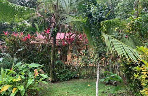 Chiguata Hotel | Luna Caribeña Village