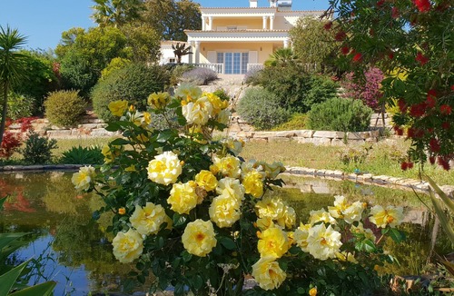 Loule House | Luxurious villa 9 p. - property 50 acres in the middle of olive trees - magnificent view