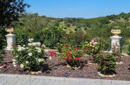 Santa Catarina da Fonte do Bispo House | Luxury holiday escape in the countryside tavira