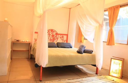 Cocles Hotel | Madre Selva Jungle Hostel