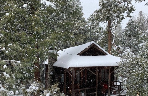 Idyllwild Cabin | MAGICAL! ultra-vintage remod 1937- fence for dogs