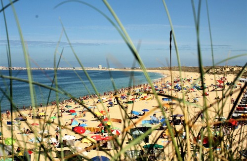 Consolacao Apartment | Mare Cheia (High Tide) Beach and Surf Apartments
