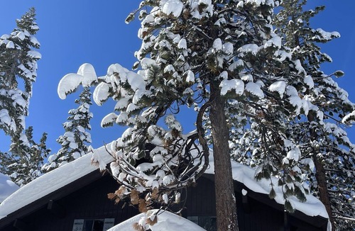 Tahoe Tyrol Ski Chalet | Minutes to Tahoe fun! Family friendly retreat