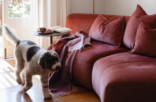New Farm Apartment | Miss Midgley's - Refectory
