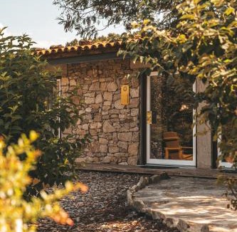 Moimenta da Beira House | Moinho d'Antoninha
