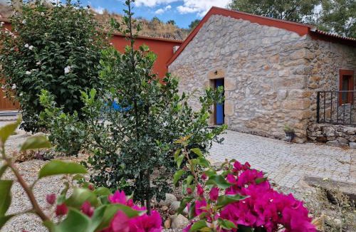 Tarouca House | Moinhos da Pereira - Turismo Rural