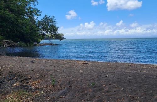 Merida House | Monkey's Island Hostel
