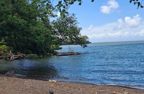 Merida House | Monkey's Island Hostel