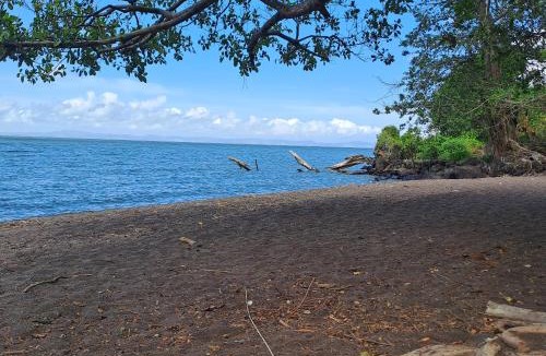Merida House | Monkey's Island Hostel