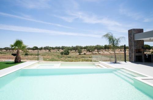 Bairro da Liberdade Villa | Monte Calmaria by Estilo Lusitano, with private pool and Jacuzzi