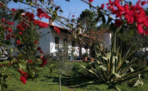 Baiona House | Monte da Choça