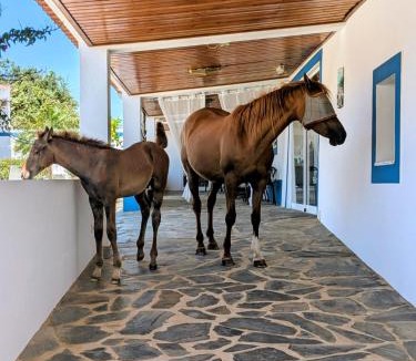 Estremoz Bed & Breakfast | Monte da Pechincha - Casa de Hóspedes & Spa