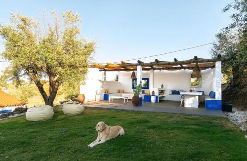 Alandroal House | Monte Frecae