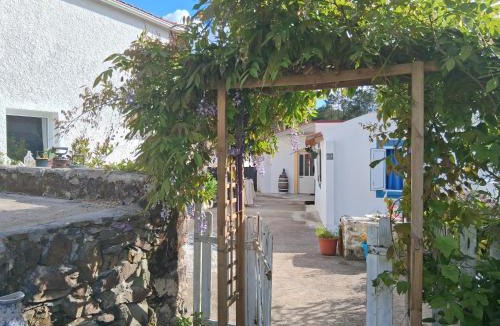 Lousa House | Nova Aurora