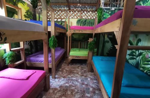 Puerto Viejo de Talamanca Hostel | Oasis Beachfront Hostel