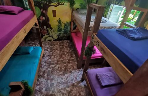 Puerto Viejo de Talamanca Hostel | Oasis Beachfront Hostel