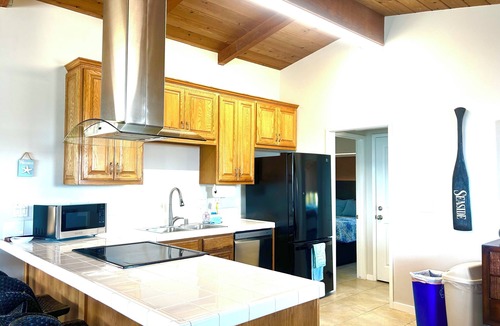 Leucadia House | Oceanfront Dolphin Views at the Edge of the USA. 2-Bed 1-Bath Pet-Friendly.