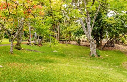 Hakalau House | Oceanfront Treehouse at Hakalau with Kitchen