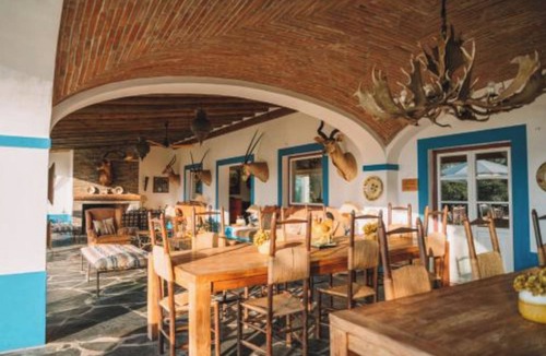 Moura House | Olive Room