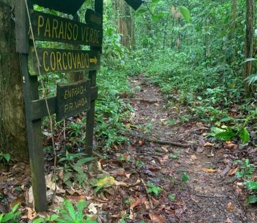 Palma Cabin | Paraisoverde-Corcovado Over Night