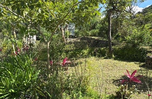 Monteverde RV Rental | Peaceful campground in Monteverde perfect for nature lovers