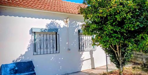 Pedrogao Pequeno House | Pequeno Casa