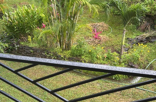 Monteverde Cabin | Perfect 1-bedroom cabin in cool Monteverde for a relaxing stay