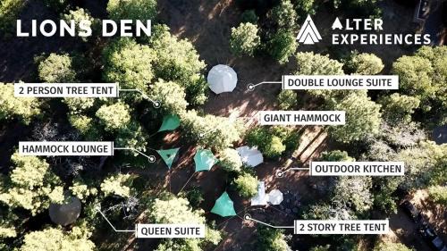 Mount Laguna Other | Pioneering Pet-Friendly Glamping: Mt. Laguna's Original Nature Lovers' Retreat