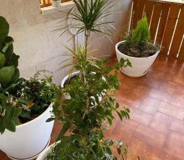Pombal Apartment | Pombal Suite