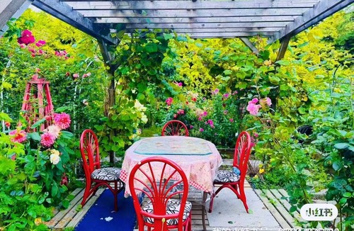 Surrey Bed & Breakfast | Private 1BR Garden Suite Private Entrance Kitchen bathroom Near White Rock Beach