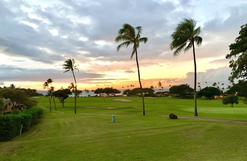 Kaanapali Cottage | Private 2B cottage, walk to Kahekili bch!