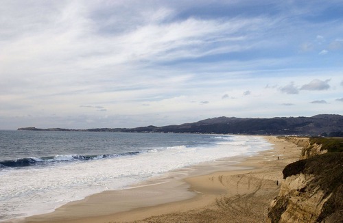 Half Moon Bay Cottage | Private 2nd floor detached guesthouse, walk to the beach!