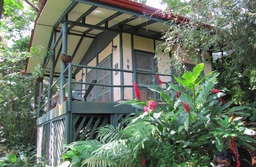 Dominical Cottage | Private Cottage Nestled in the Jungle, Above the Rocky Shore.