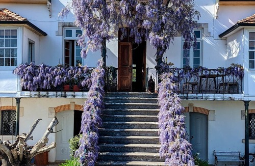 Friumes e Paradela Villa | Private Historic Villa with Large Pool