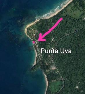 Punta Uva House | Punta Uva Puerto Viejo Beach Front House with Swimming Pool